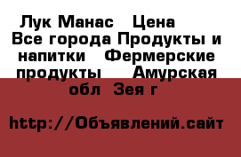 Лук Манас › Цена ­ 8 - Все города Продукты и напитки » Фермерские продукты   . Амурская обл.,Зея г.